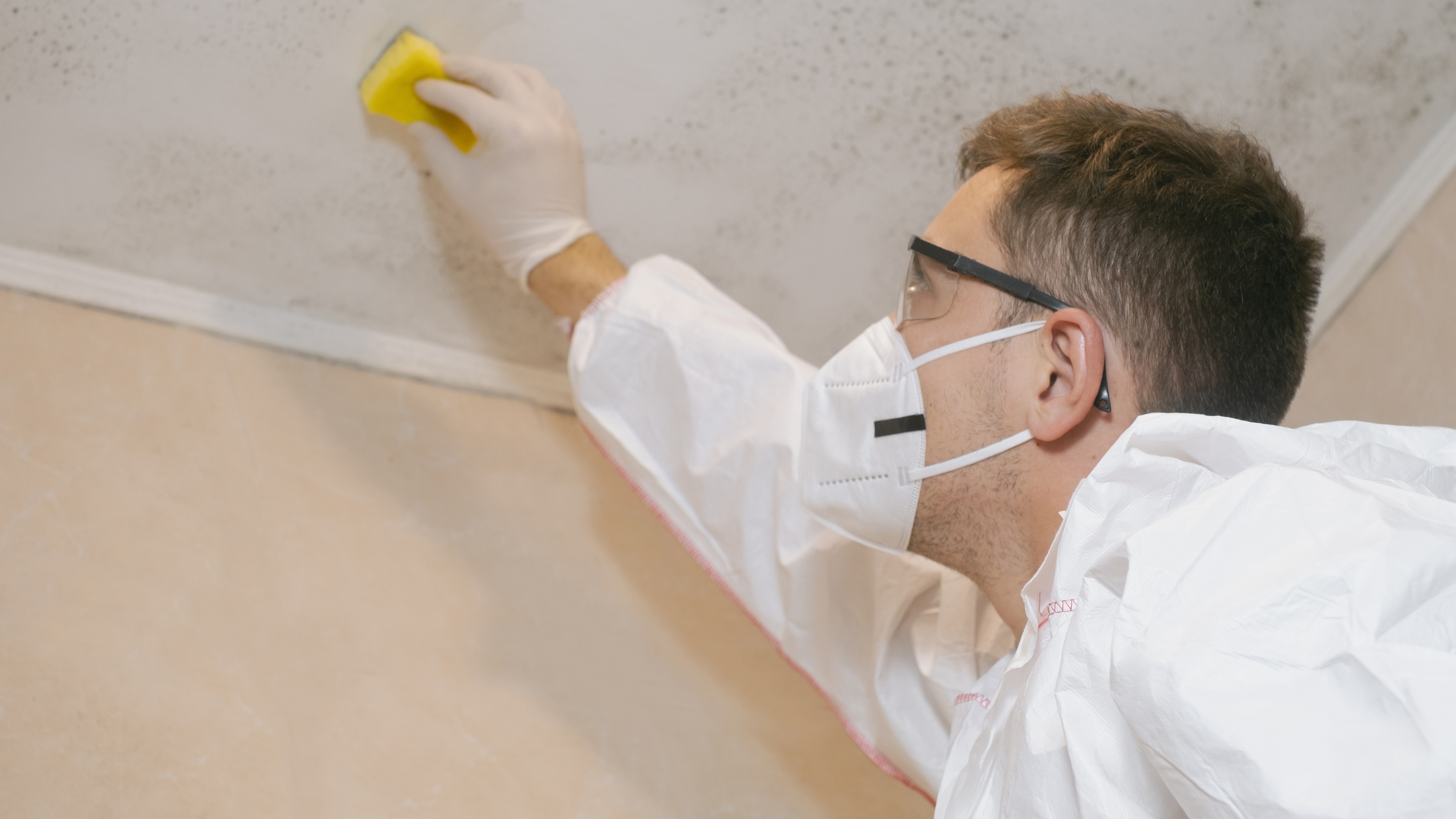 Level 2 Mold Remediation Explained: Safety, Steps, and Rules